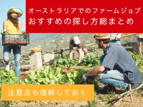 オーストラリア　ファームジョブ