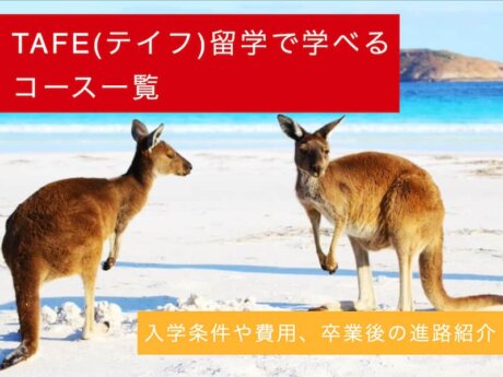 TAFE コース 一覧